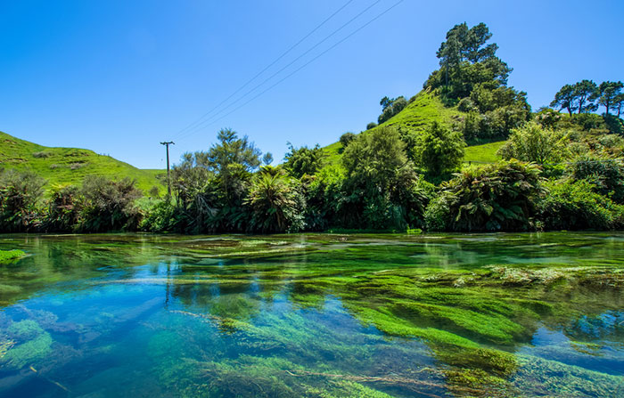 https://www.ritepricerentals.co.nz/uploads/images/hamilton.jpg